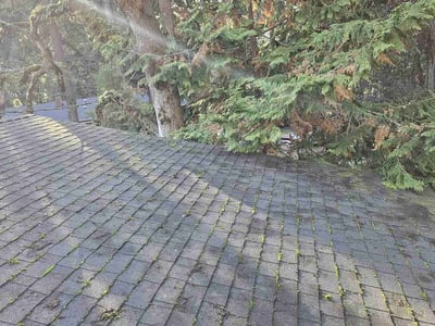 Lawn care service in , 