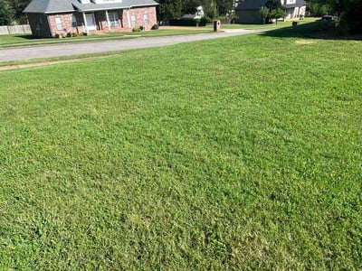 Lawn care service in Hendersonville, 37075