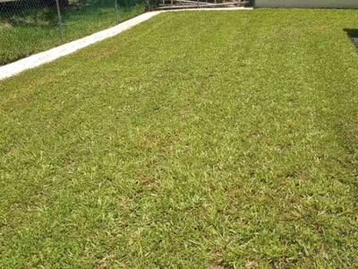 Lawn care service in Pembroke Pines, 33029