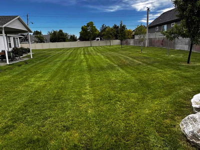 Lawn care service in South Jordan, 84095