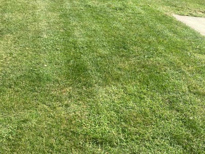 Lawn care service in Porter, 46304
