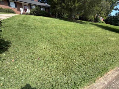 Lawn care service in Winston-Salem, 27106