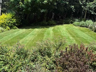 Lawn care service in Rockford, 49341