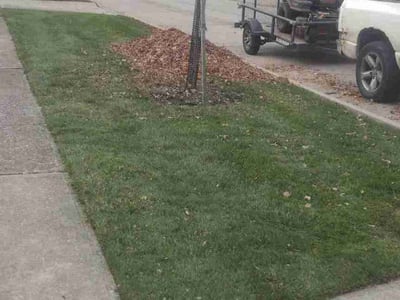 Lawn care service in Lyndhurst, 44124