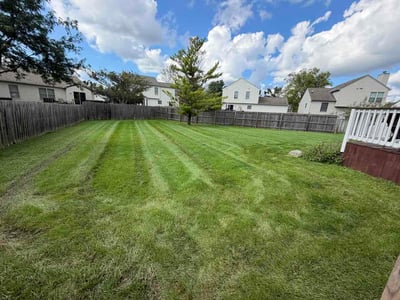 Lawn care service in Galloway, 43119