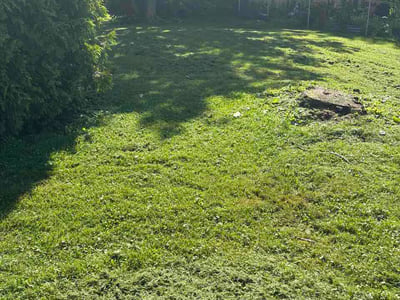 Lawn care service in Mansfield, 44905