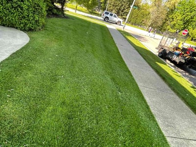 Lawn care service in Oswego, 60543