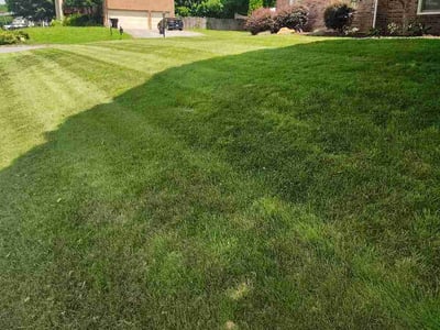 Lawn care service in Knoxville, 37931