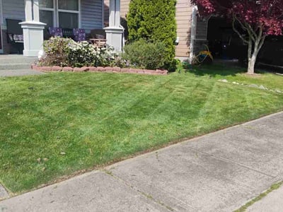Lawn care service in Spanaway, 98387