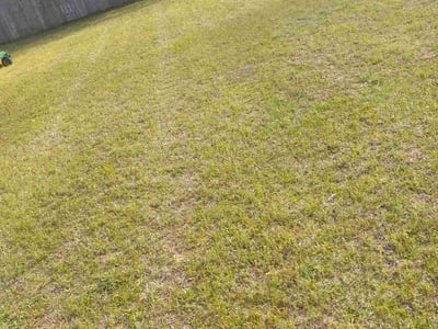 Lawn care service in Pensacola, 32526