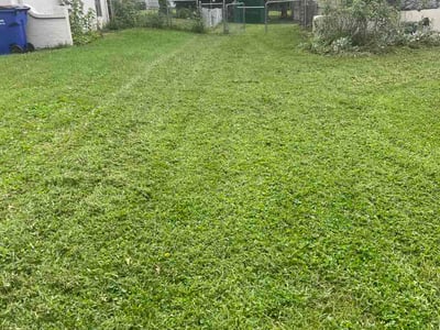 Lawn care service in Lee's Summit, 64081