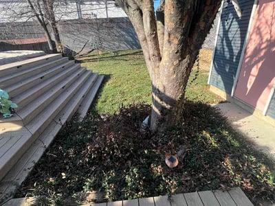 Lawn care service in Tulsa, 74120