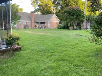 Lawn care service in Memphis, 38128
