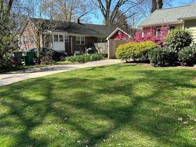 Lawn care service in Charlotte, 28205