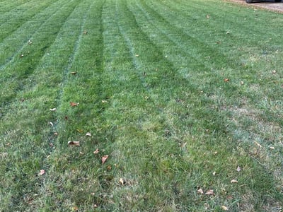 Lawn care service in Lincoln, 02838