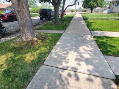 Lawn care service in Burbank, 60459