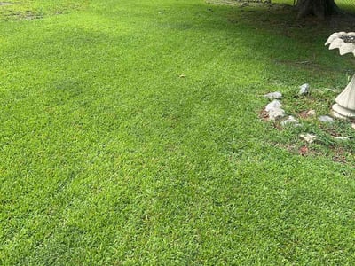 Lawn care service in Suffolk, 23434