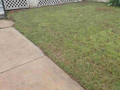 Lawn care service in Cleveland, 44108