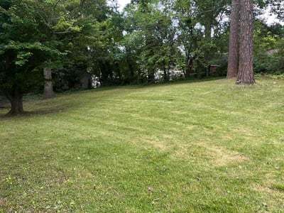 Lawn care service in Richmond, 23227