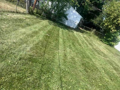 Lawn care service in Roseville, 48066
