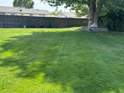 Lawn care service in Pasco, 99301