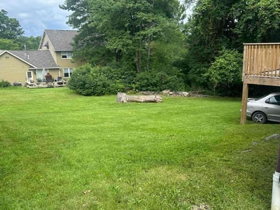 Lawn care service in Clarks Summit, 18411