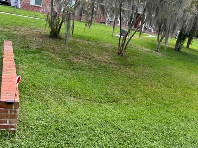 Lawn care service in Gainesville, 32606