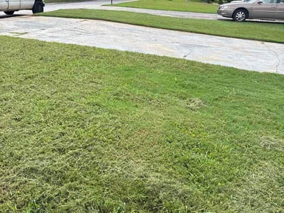 Lawn care service in Decatur, 30035