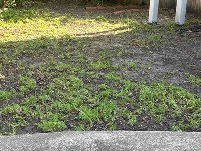Lawn care service in New Orleans, 70122
