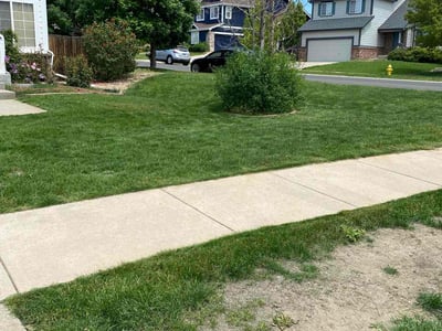 Lawn care service in Aurora, 80018