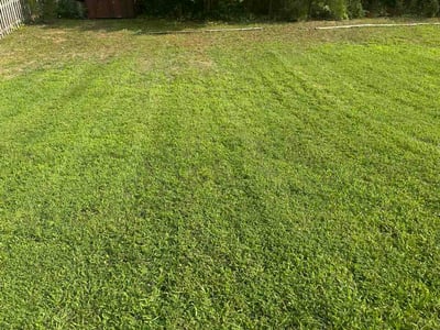 Lawn care service in High Point, 27265
