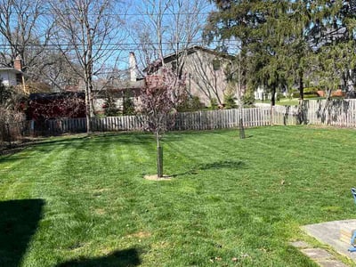 Lawn care service in Columbus, 43235