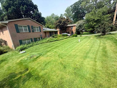 Lawn care service in Annapolis, 21403