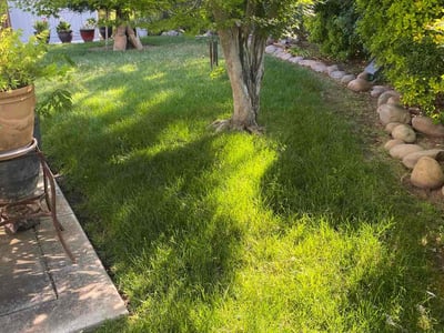 Lawn care service in Citrus Heights, 95621