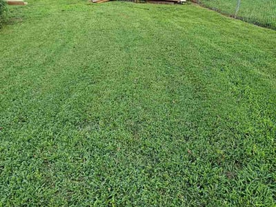 Lawn care service in Greer, 29650