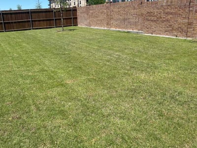 Lawn care service in Anna, 75409
