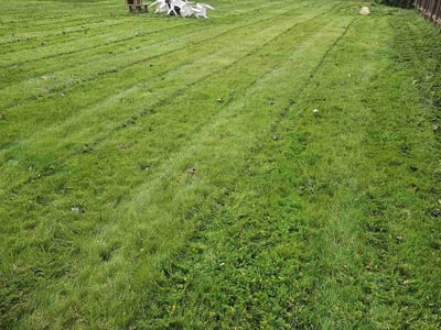 Lawn care service in Sacramento, 95838
