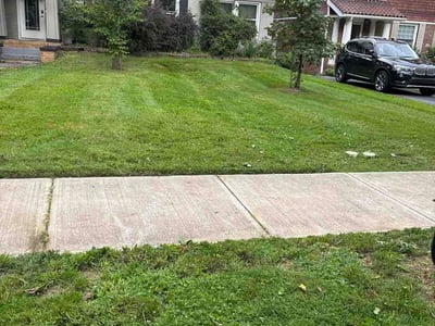 Lawn care service in Cleveland Heights, 44106