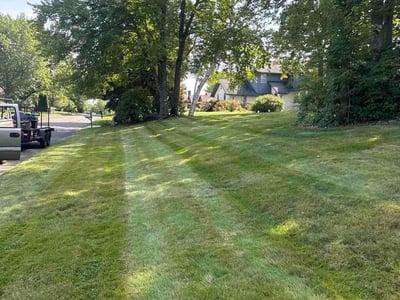 Lawn care service in Windsor, 06095
