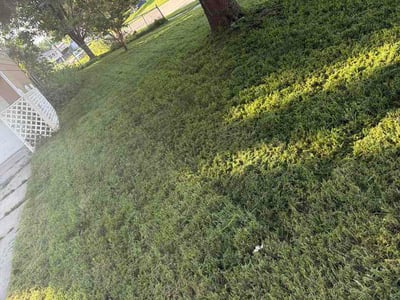 Lawn care service in Omaha, 68164