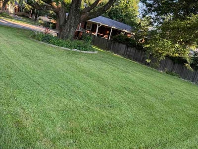 Lawn care service in Louisville, 40228