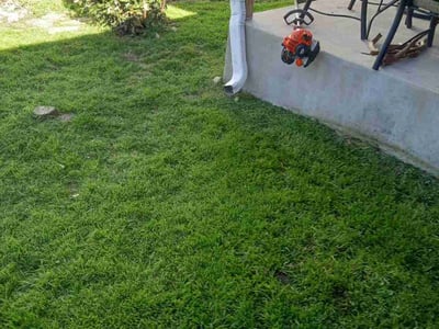 Lawn care service in Austin, 78749