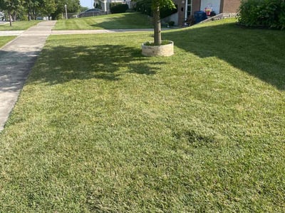 Lawn care service in Hickory Hills, 60457