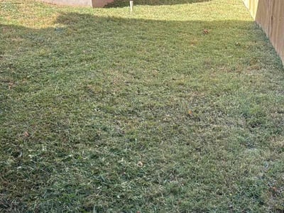 Lawn care service in Austin, 78724