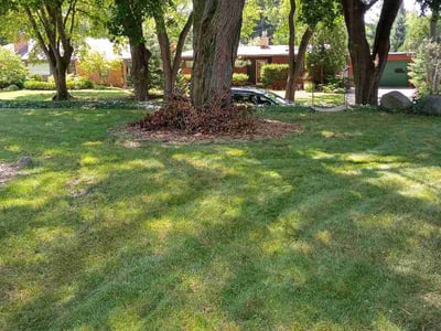 Lawn care service in Madison, 53705
