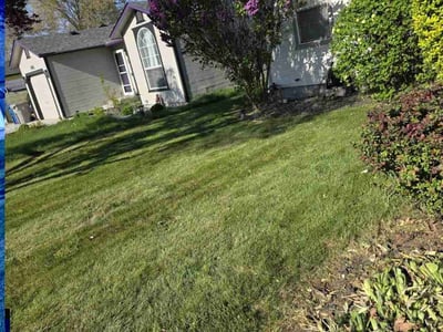 Lawn care service in Nampa, 83686