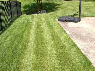 Lawn care service in Lexington, 40509