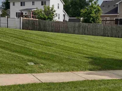 Lawn care service in Des Moines, 50320