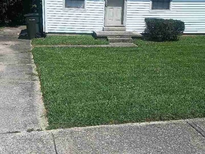 Lawn care service in Lexington, 40517