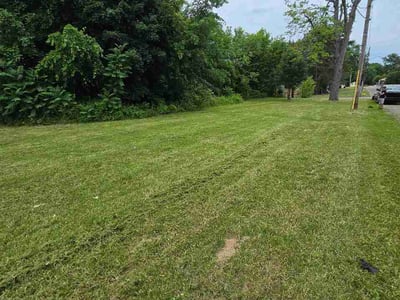 Lawn care service in Niles, 44446